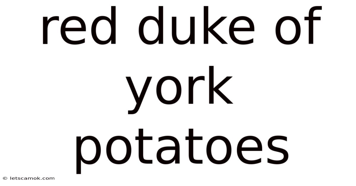 Red Duke Of York Potatoes