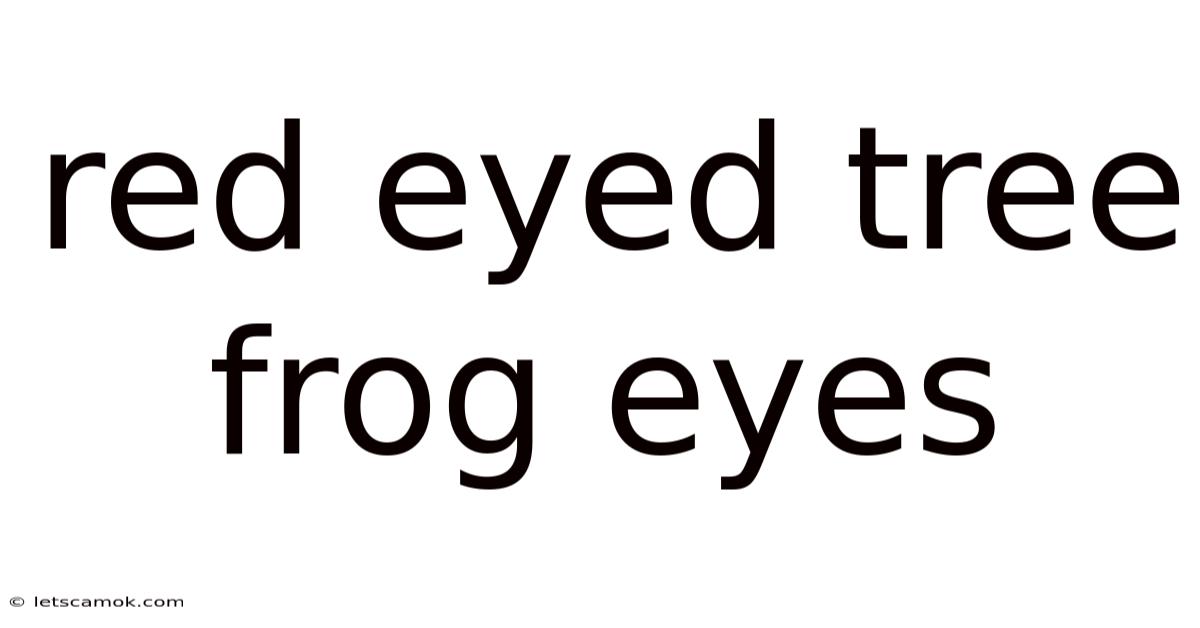 Red Eyed Tree Frog Eyes