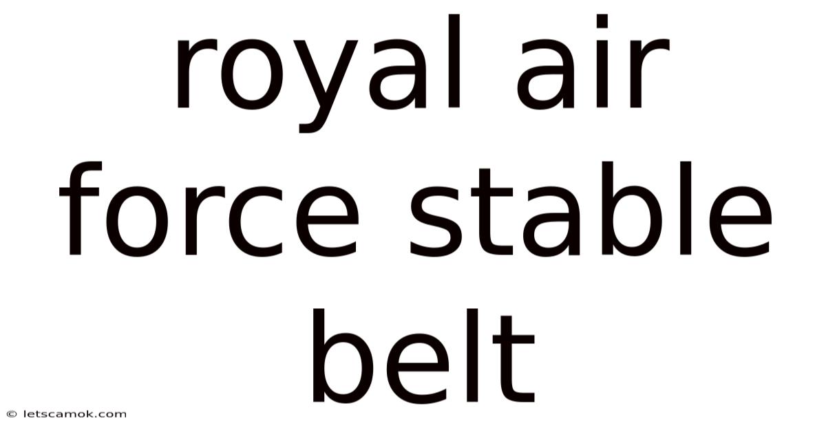 Royal Air Force Stable Belt