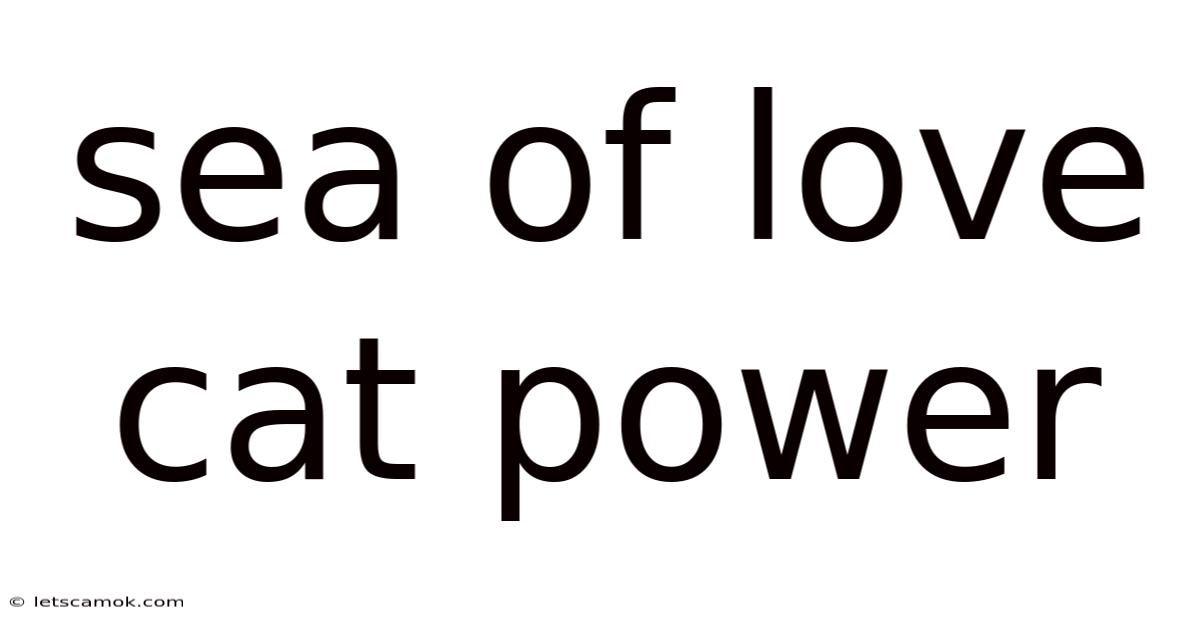 Sea Of Love Cat Power