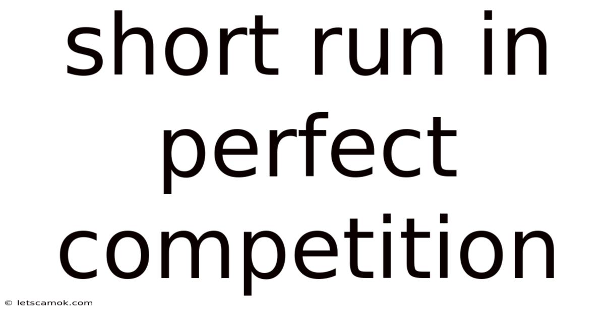 Short Run In Perfect Competition