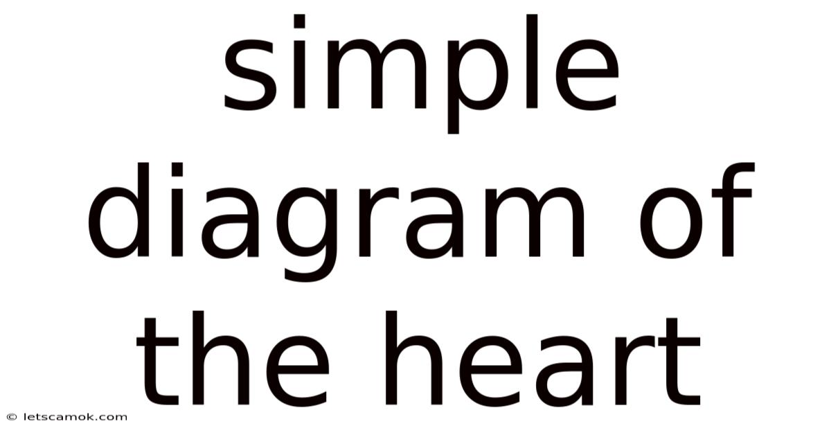 Simple Diagram Of The Heart