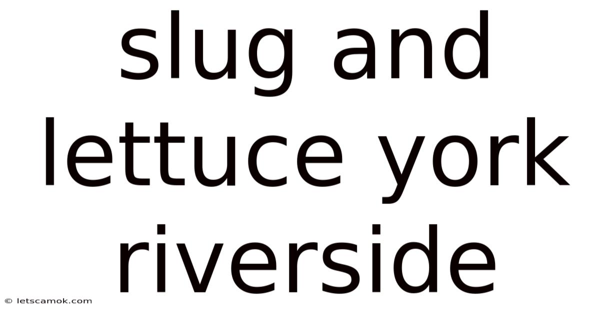 Slug And Lettuce York Riverside