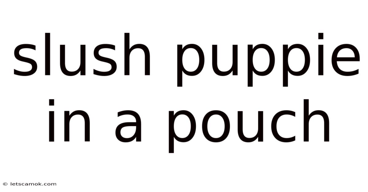 Slush Puppie In A Pouch