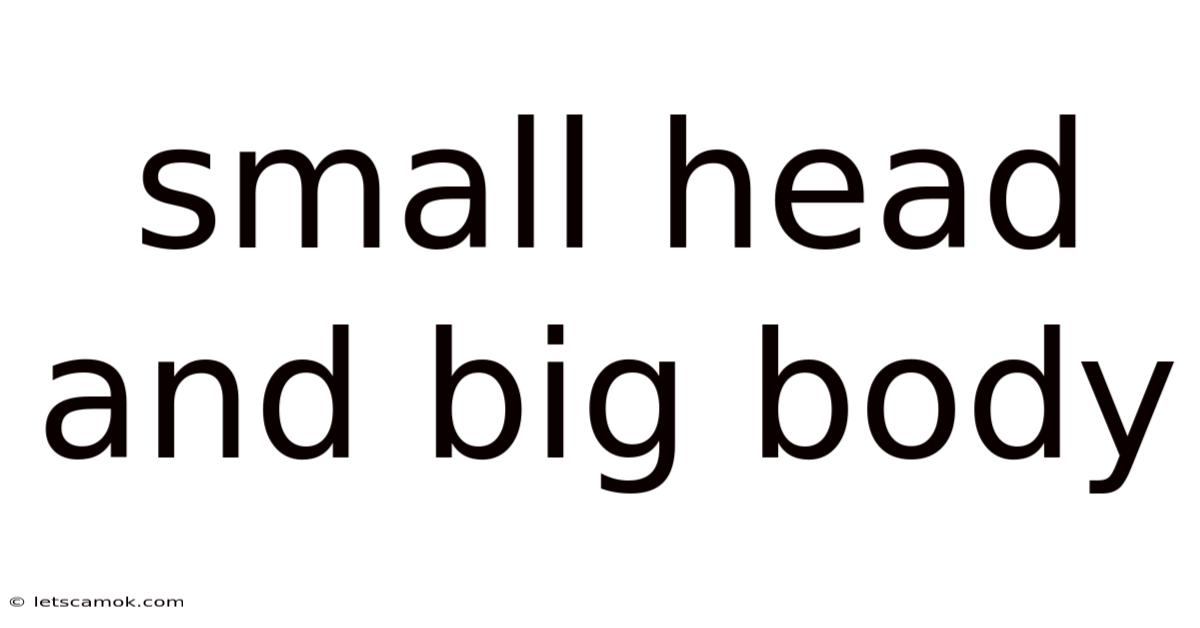 Small Head And Big Body