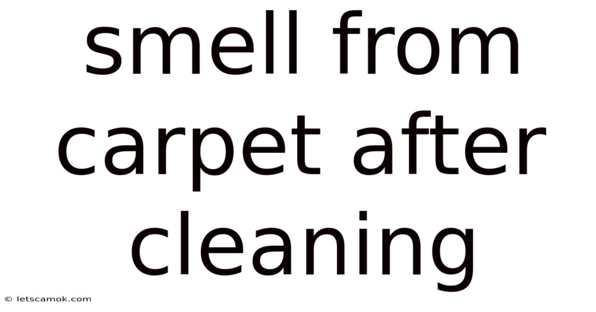 Smell From Carpet After Cleaning