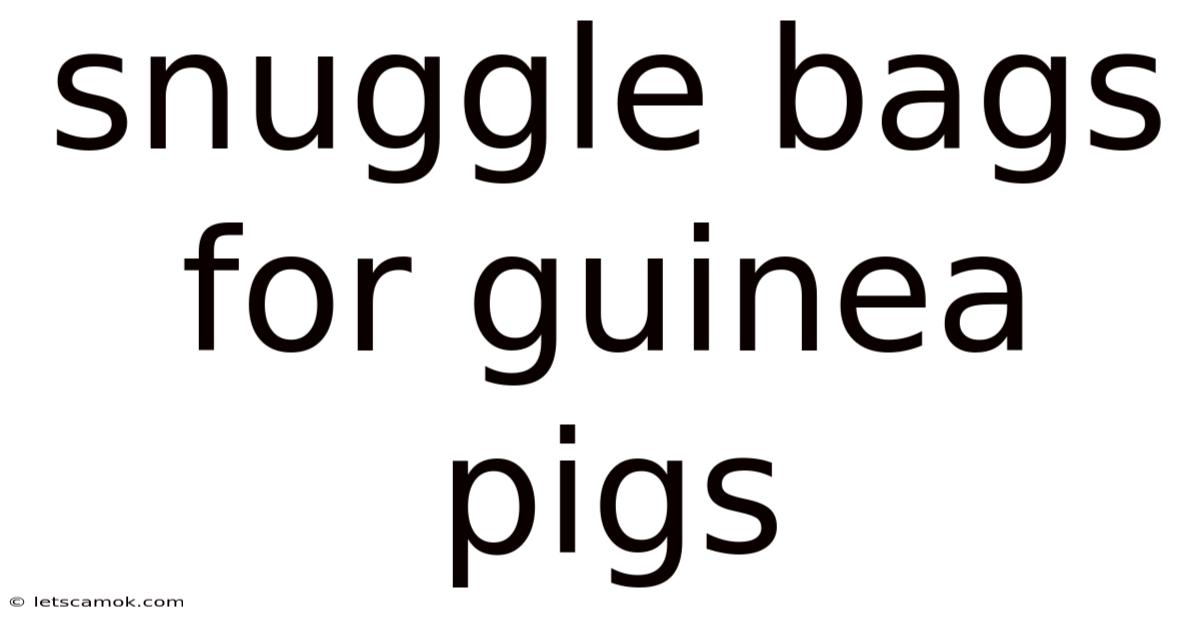 Snuggle Bags For Guinea Pigs