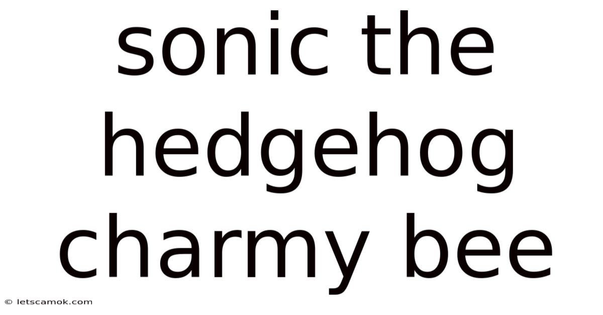 Sonic The Hedgehog Charmy Bee