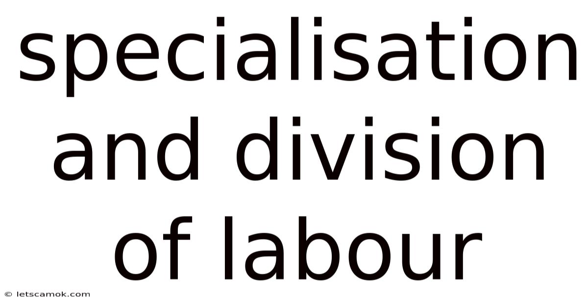 Specialisation And Division Of Labour