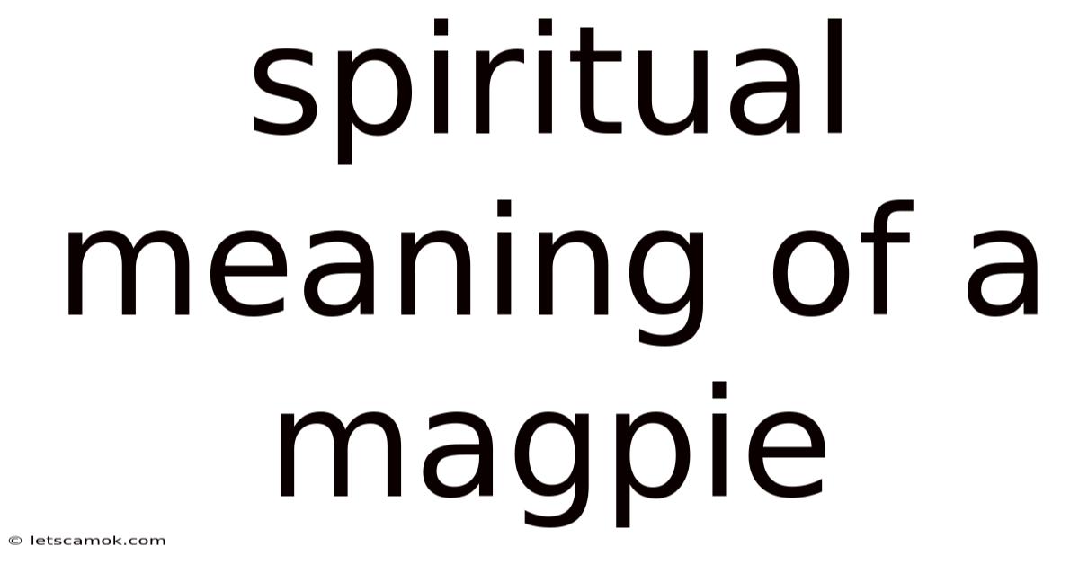 Spiritual Meaning Of A Magpie