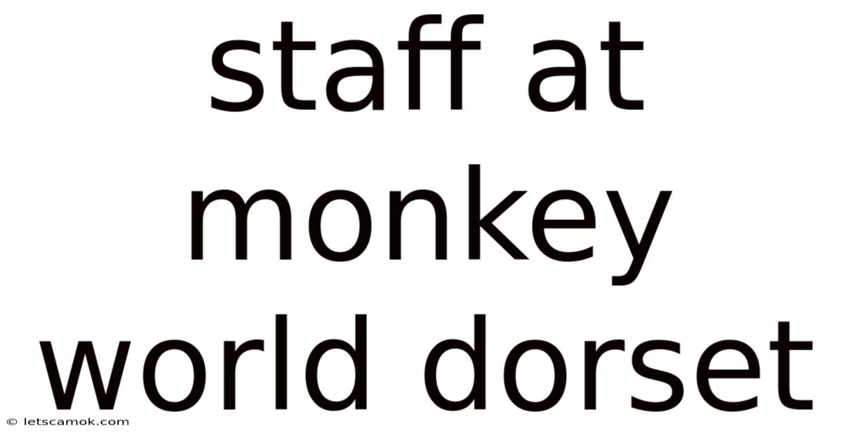 Staff At Monkey World Dorset