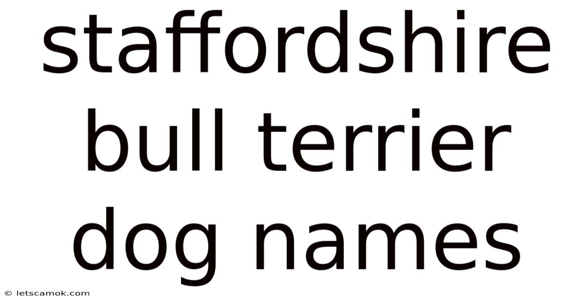 Staffordshire Bull Terrier Dog Names