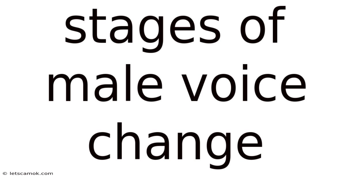 Stages Of Male Voice Change