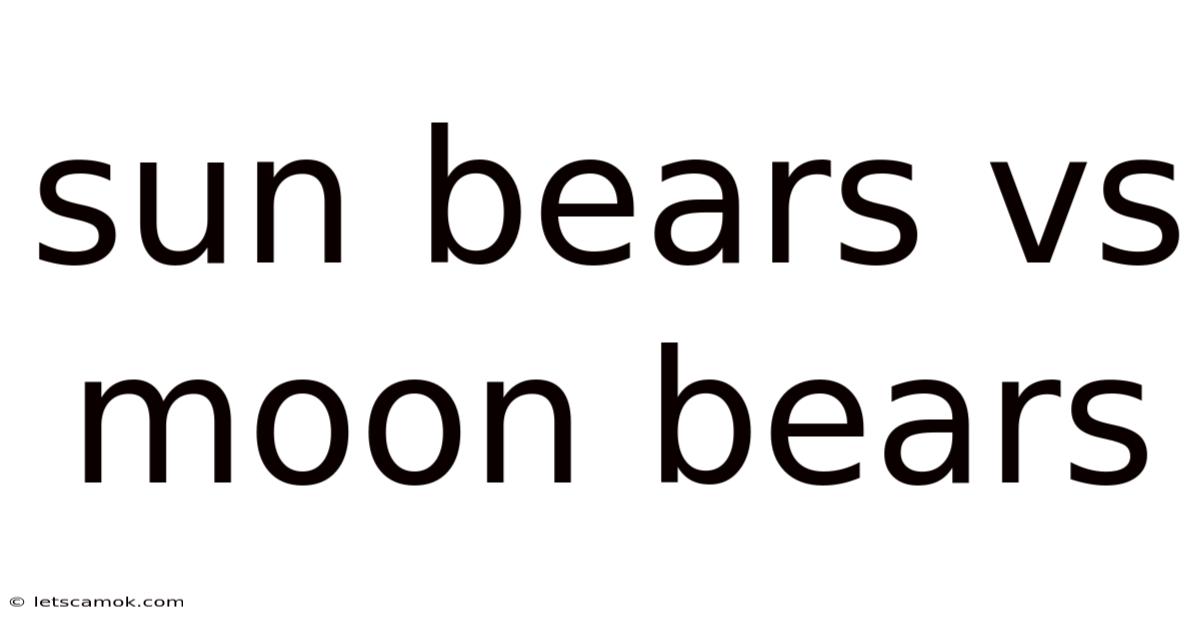 Sun Bears Vs Moon Bears