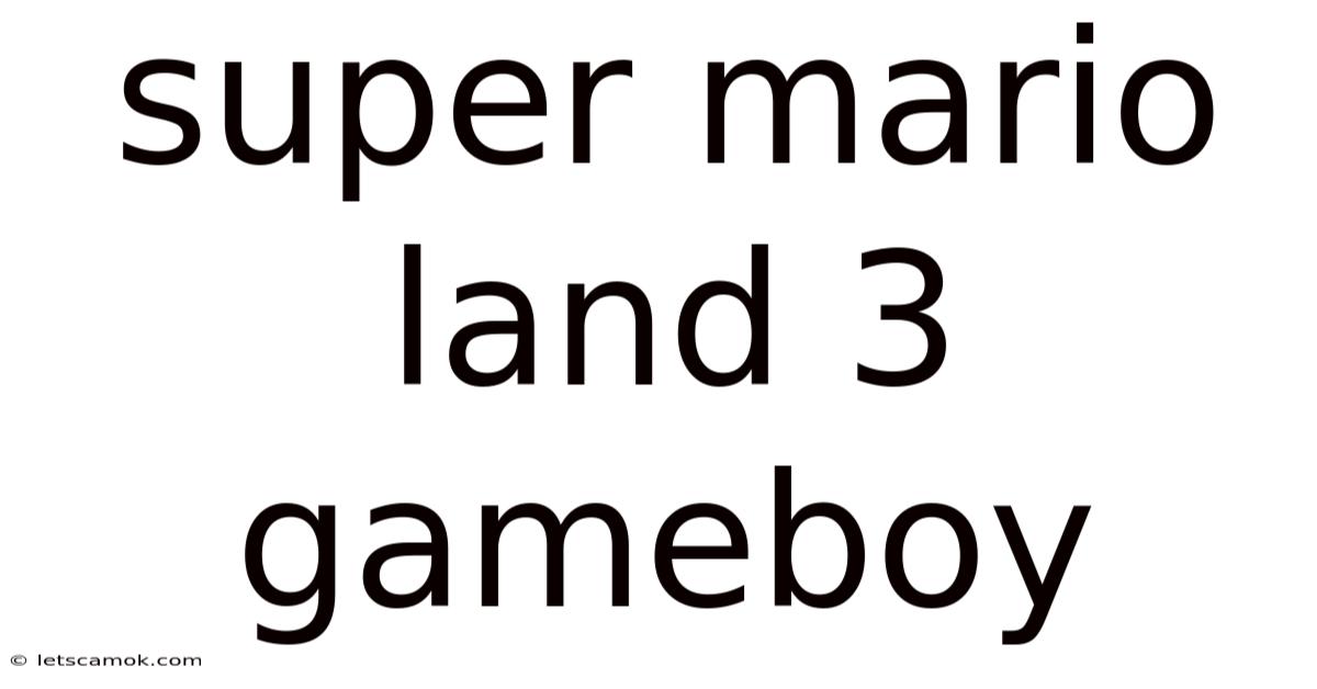 Super Mario Land 3 Gameboy