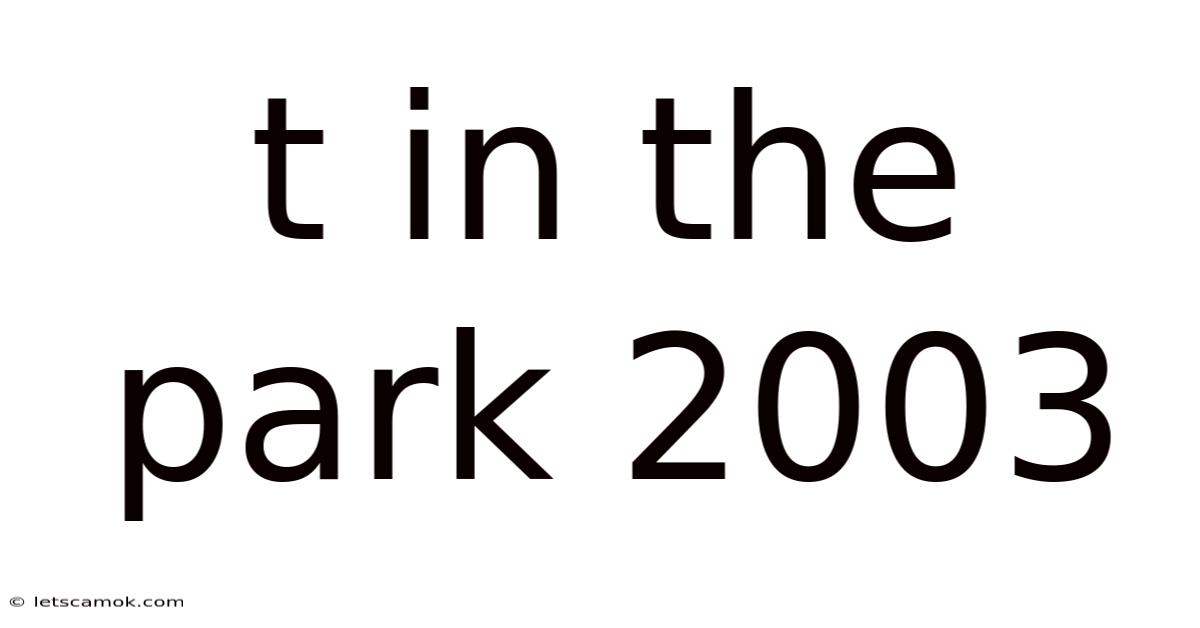 T In The Park 2003