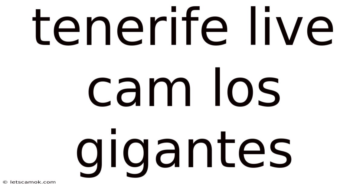 Tenerife Live Cam Los Gigantes