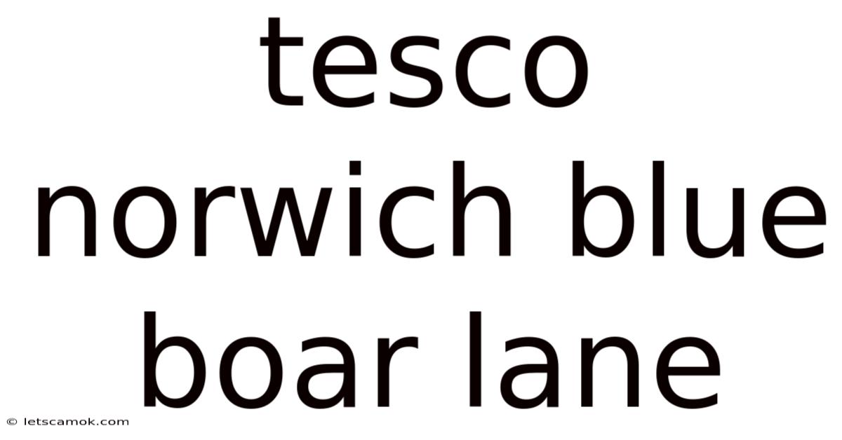 Tesco Norwich Blue Boar Lane