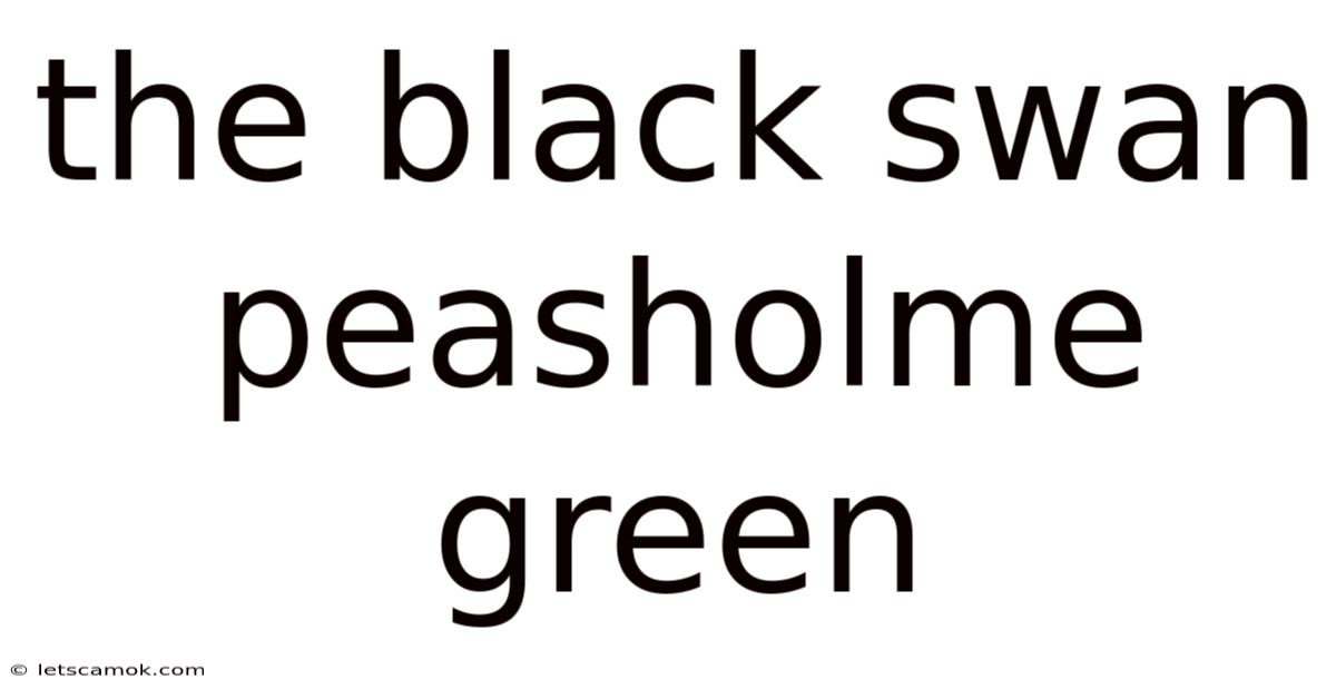 The Black Swan Peasholme Green