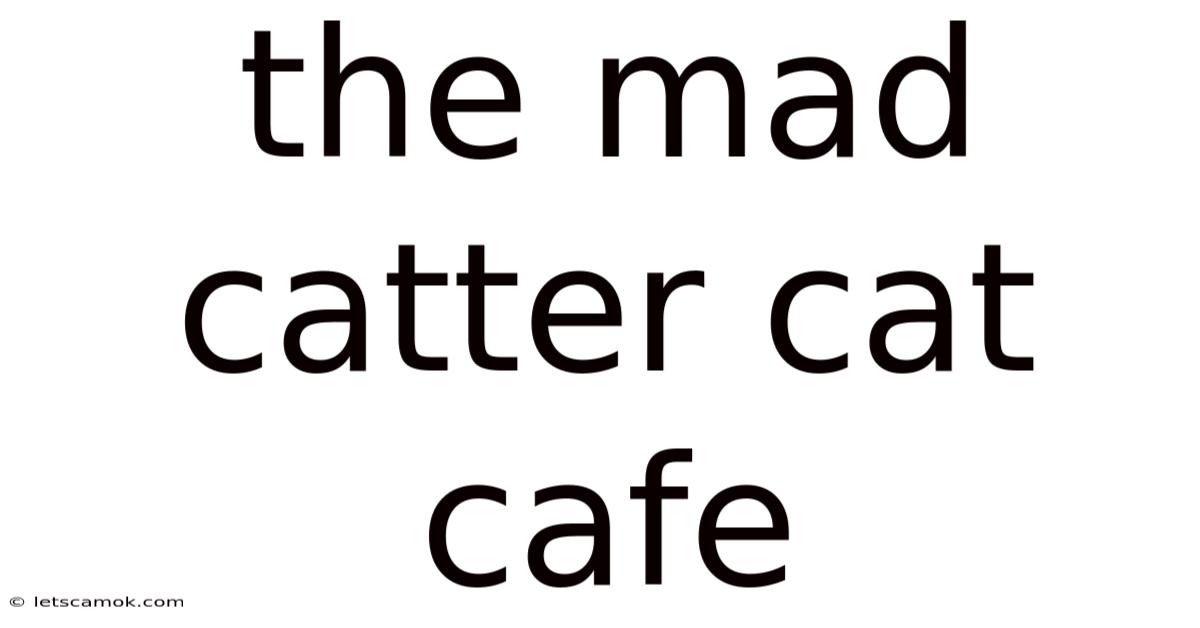 The Mad Catter Cat Cafe