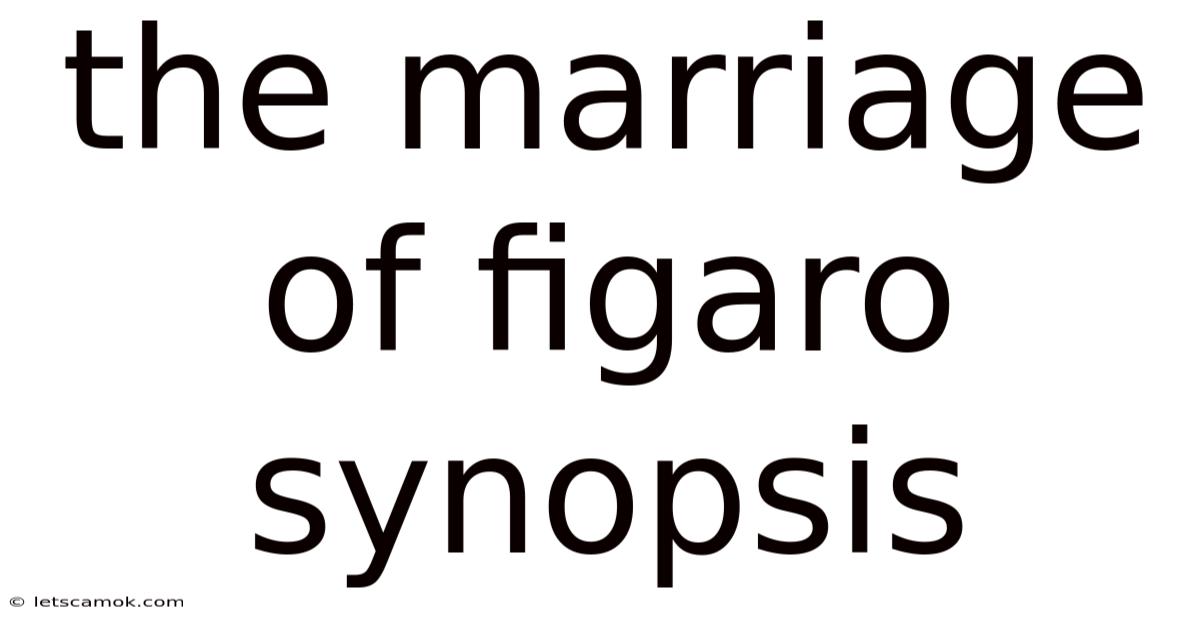 The Marriage Of Figaro Synopsis