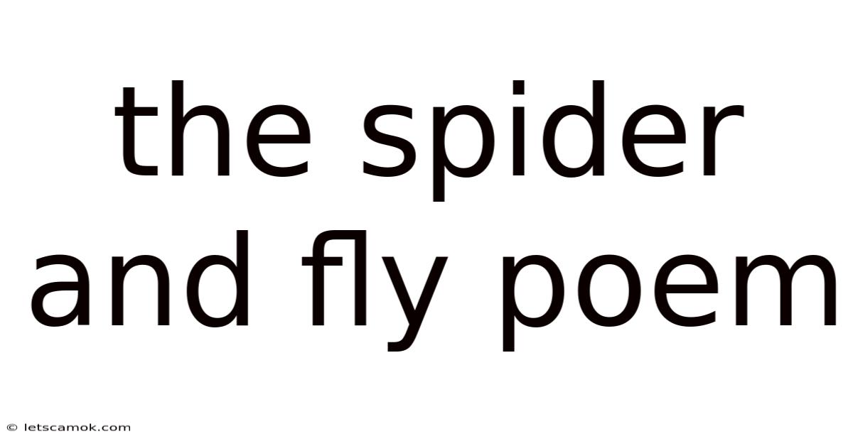 The Spider And Fly Poem
