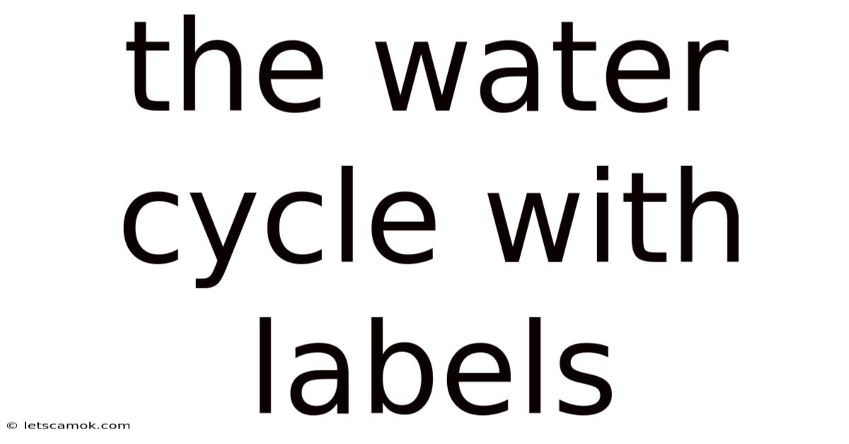 The Water Cycle With Labels