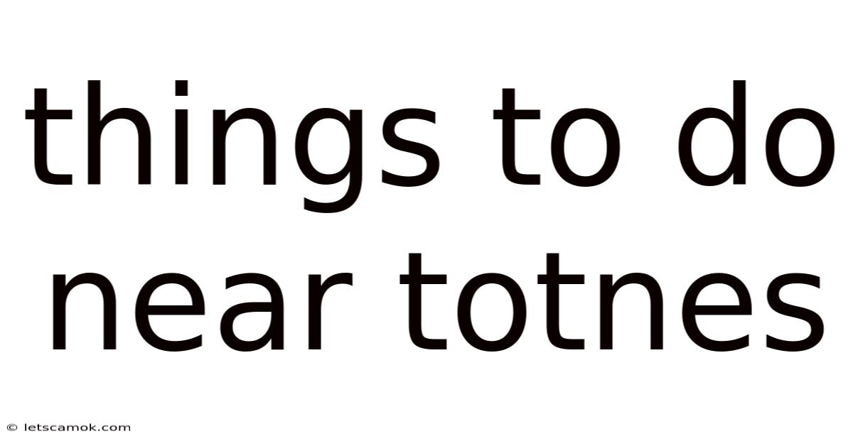 Things To Do Near Totnes