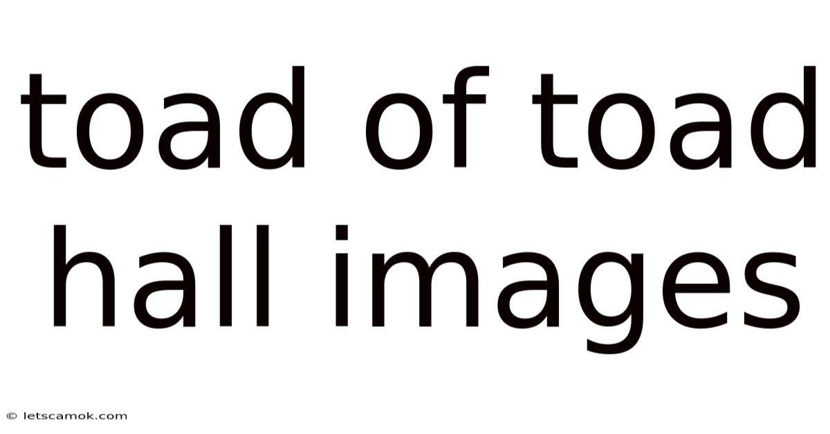 Toad Of Toad Hall Images