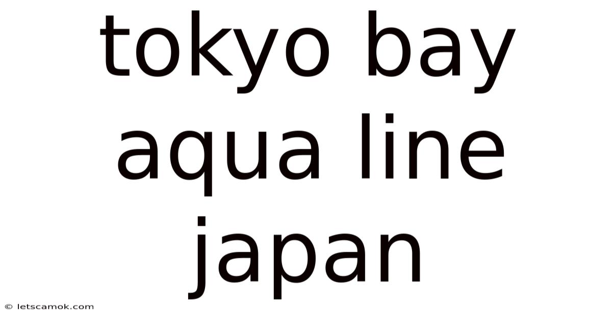 Tokyo Bay Aqua Line Japan