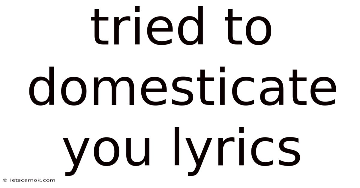 Tried To Domesticate You Lyrics