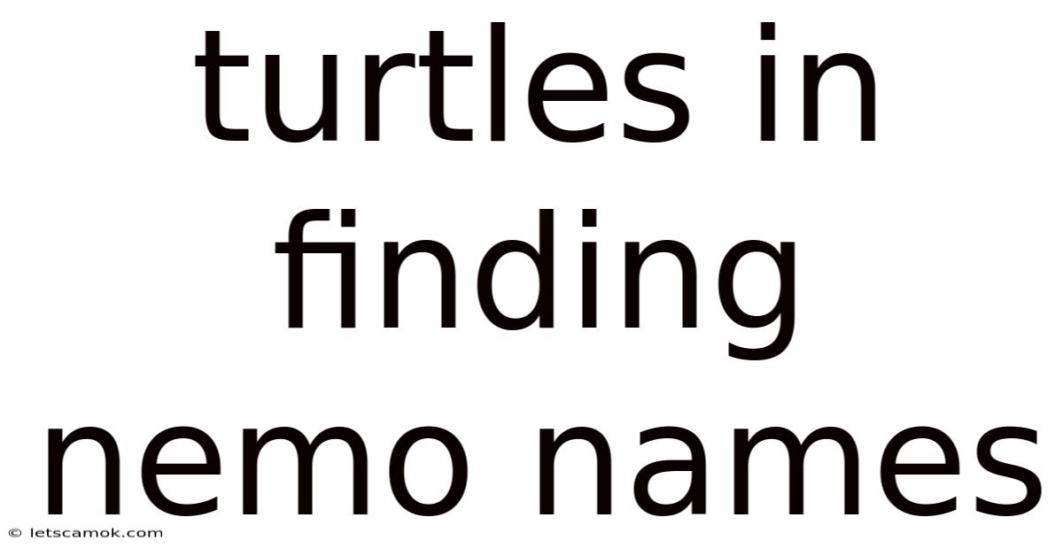 Turtles In Finding Nemo Names