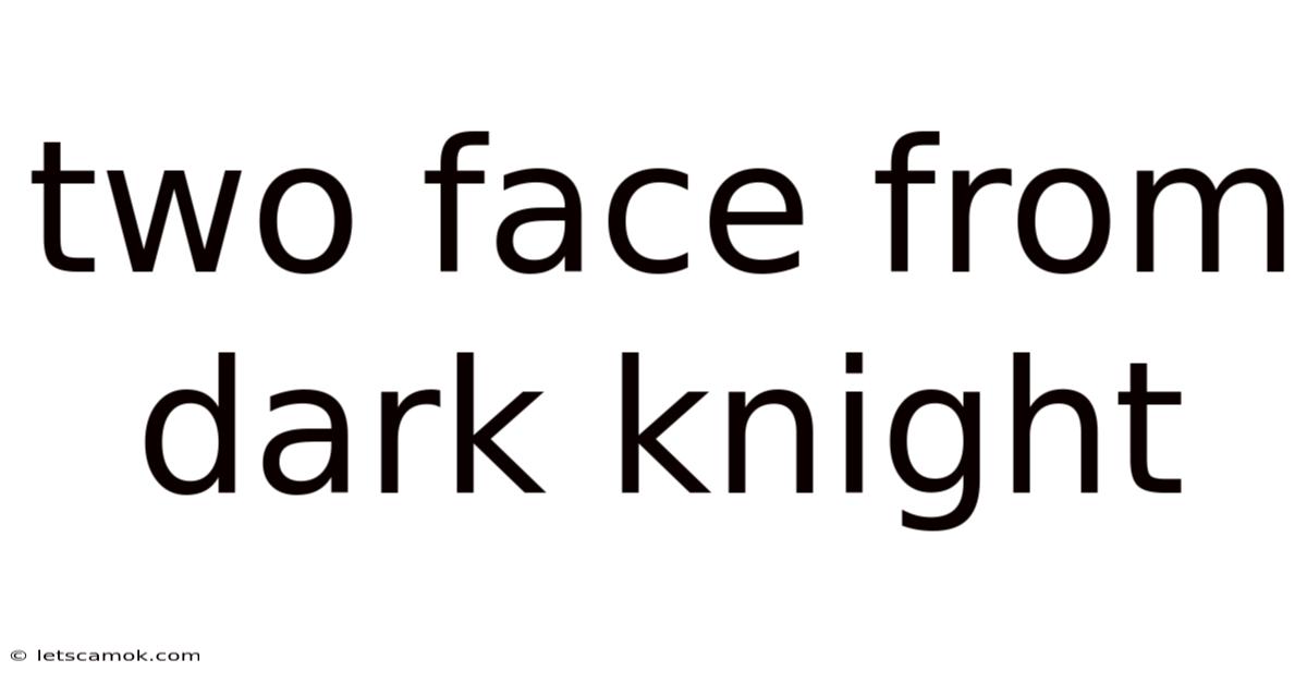 Two Face From Dark Knight