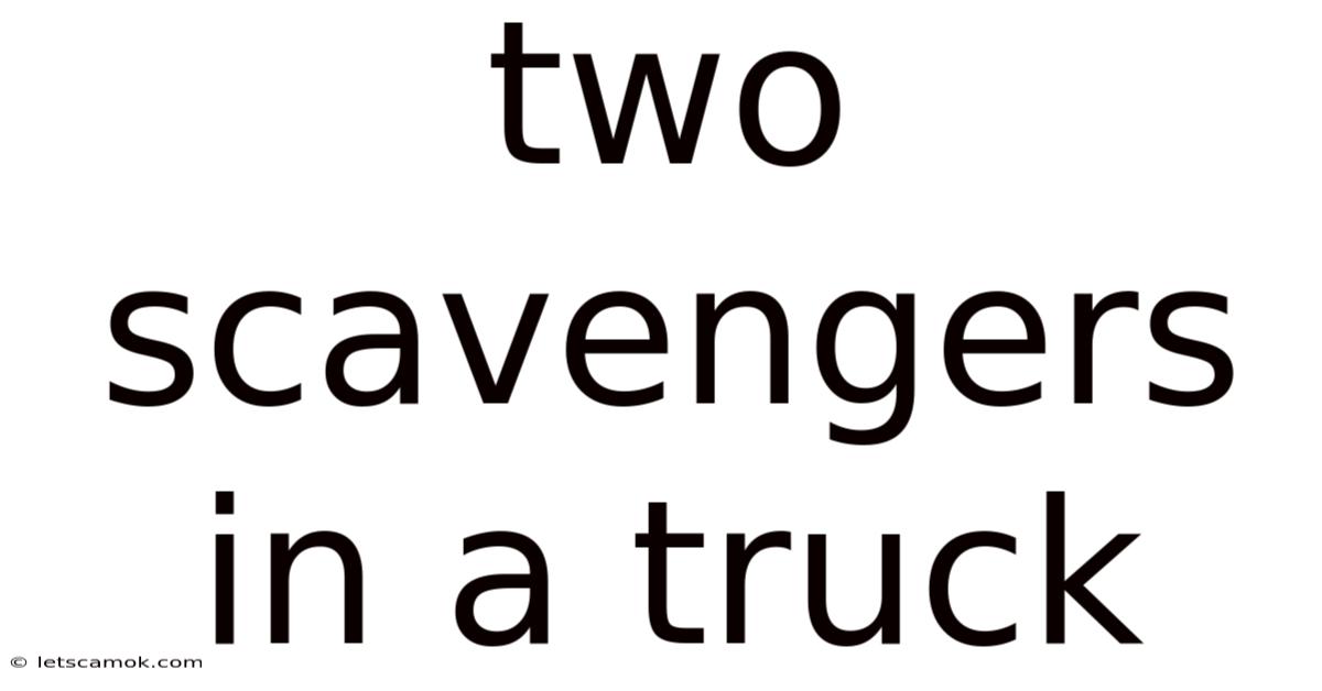 Two Scavengers In A Truck