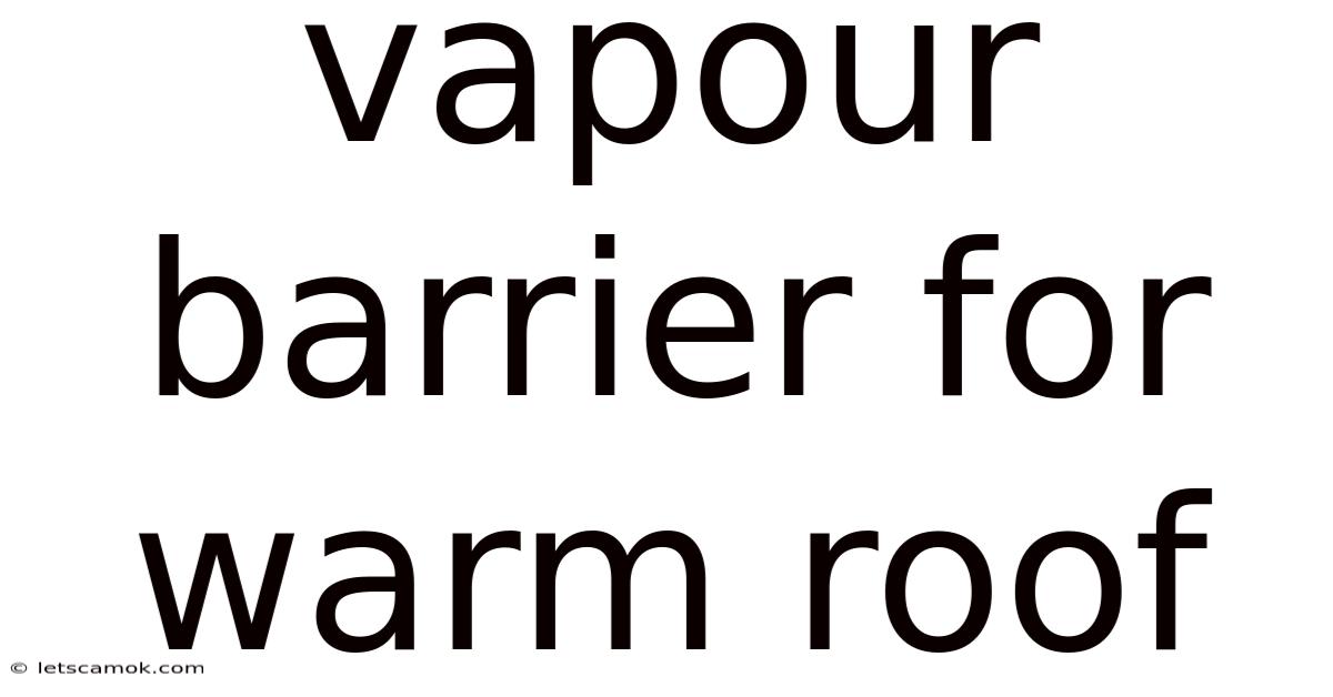 Vapour Barrier For Warm Roof