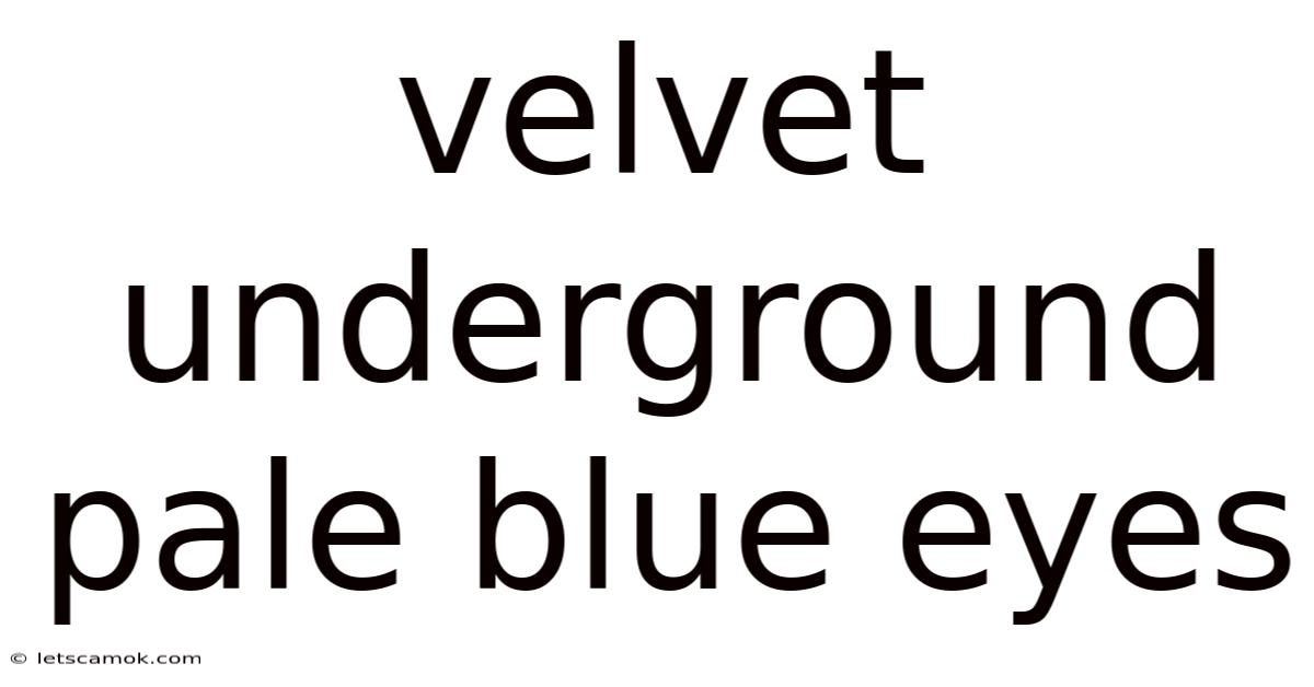 Velvet Underground Pale Blue Eyes