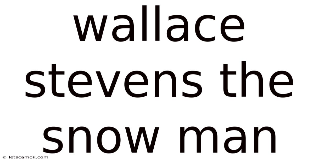 Wallace Stevens The Snow Man