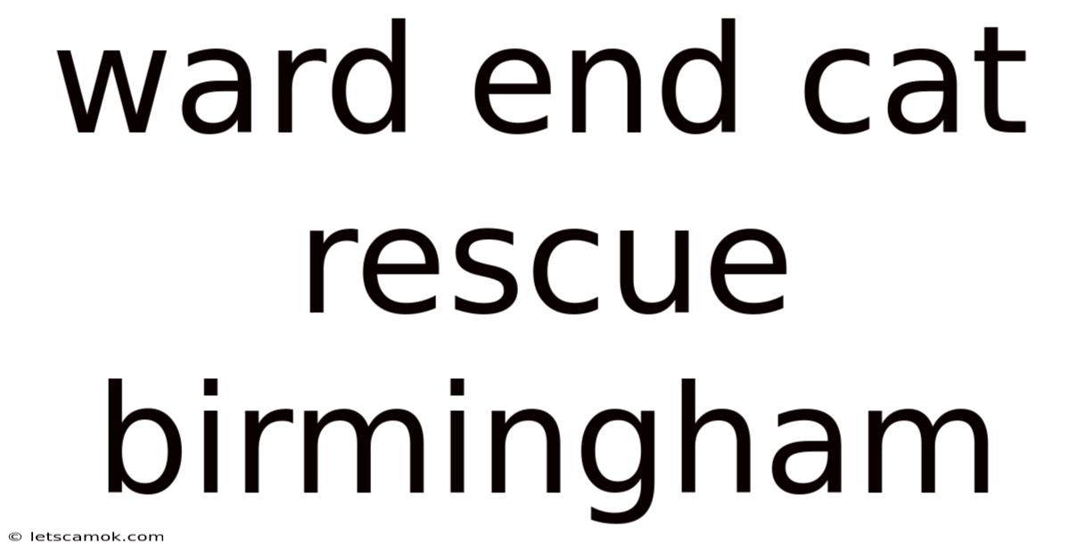 Ward End Cat Rescue Birmingham
