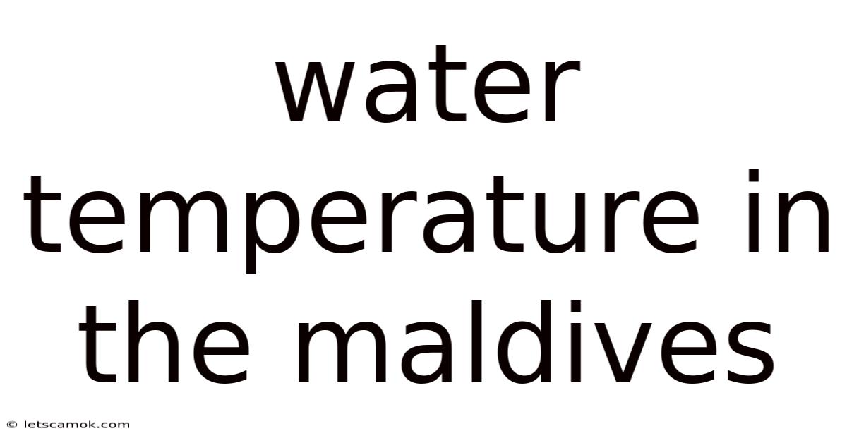 Water Temperature In The Maldives
