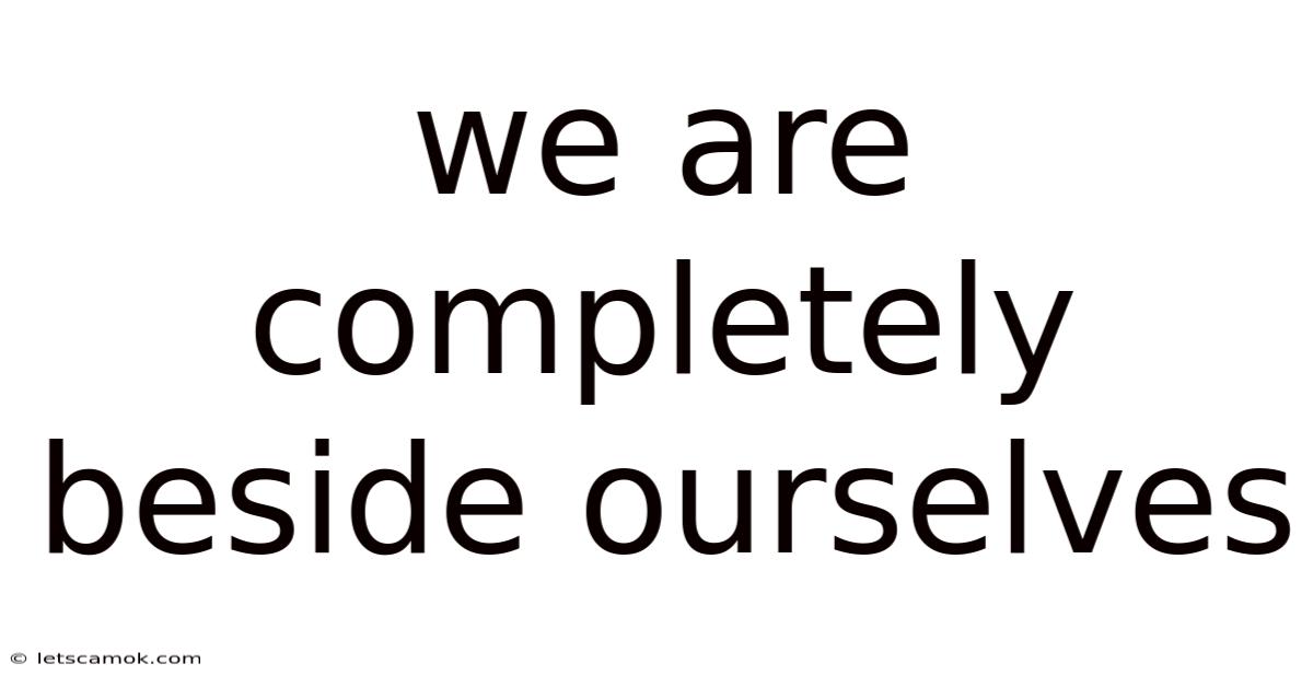 We Are Completely Beside Ourselves