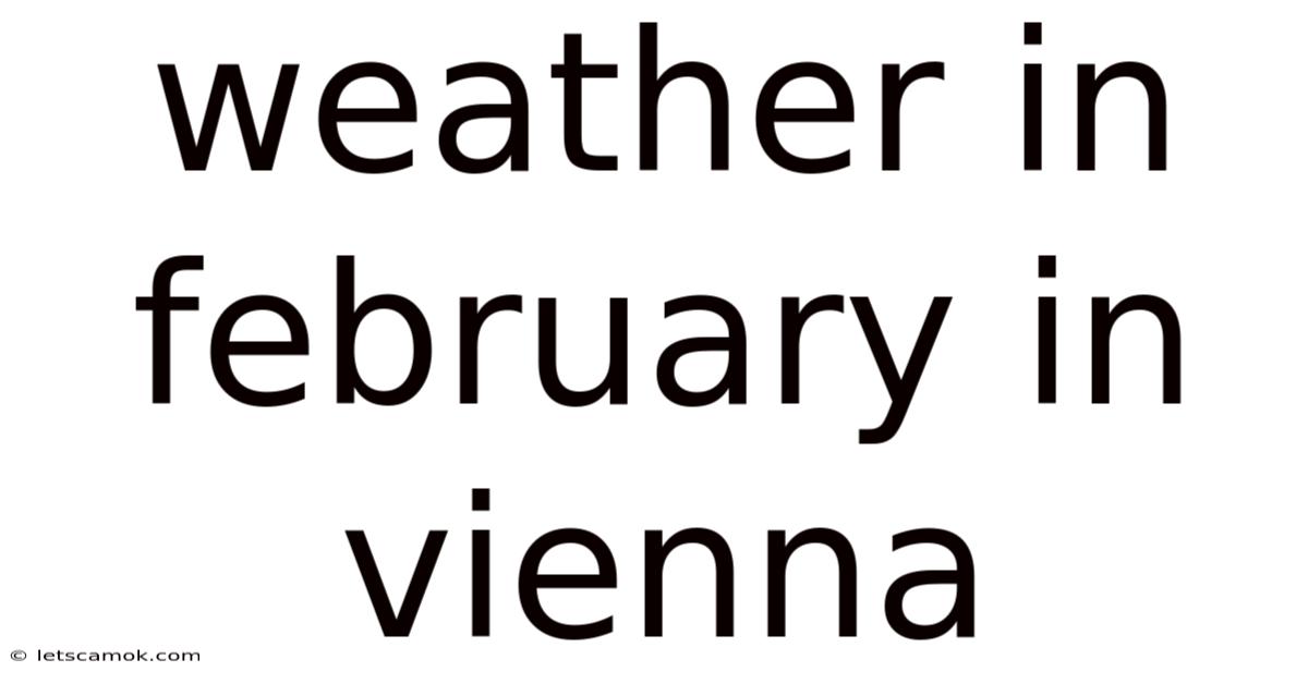 Weather In February In Vienna