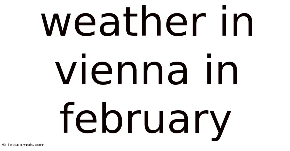 Weather In Vienna In February