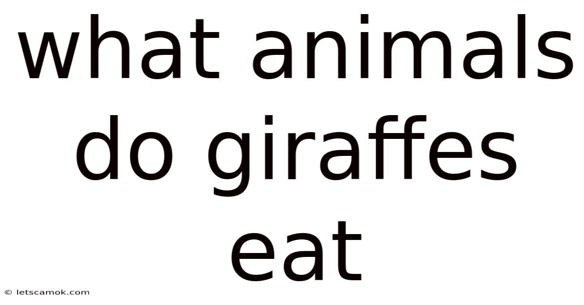 What Animals Do Giraffes Eat