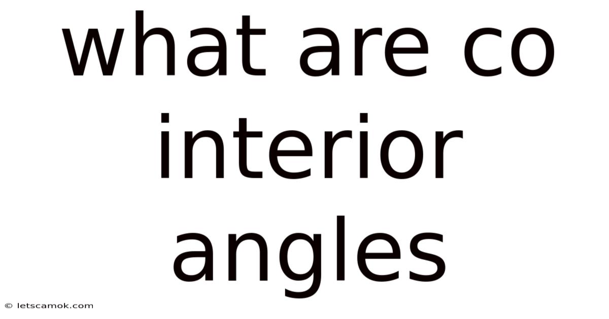 What Are Co Interior Angles