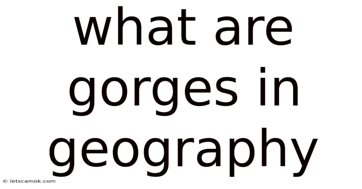 What Are Gorges In Geography