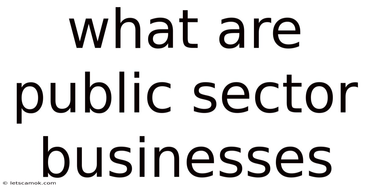 What Are Public Sector Businesses