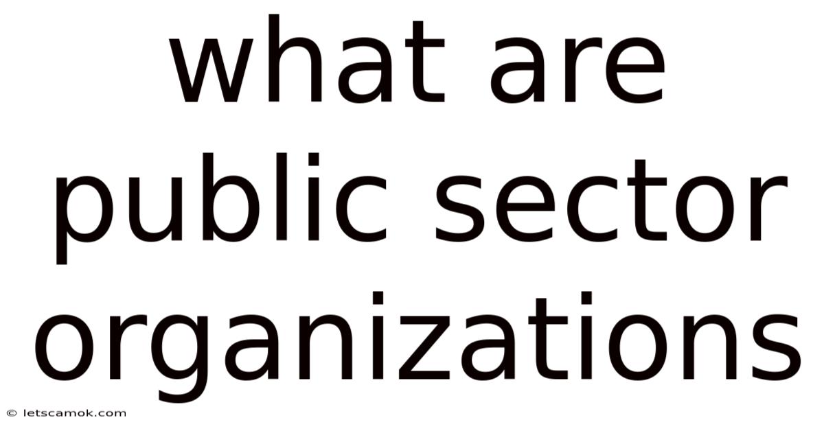 What Are Public Sector Organizations