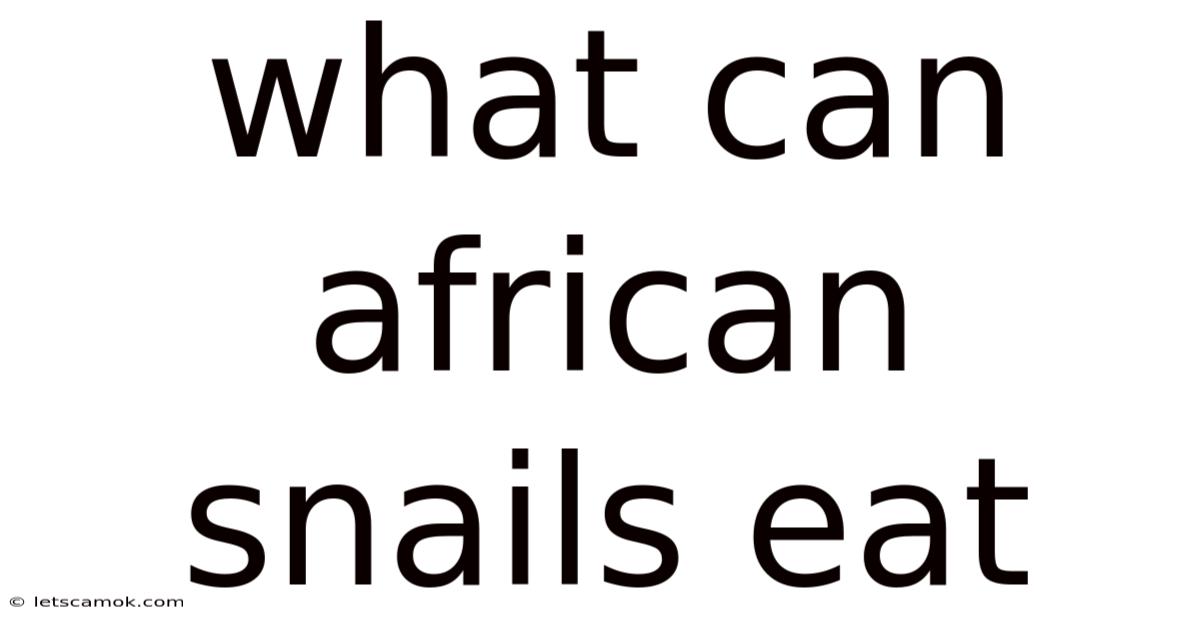 What Can African Snails Eat