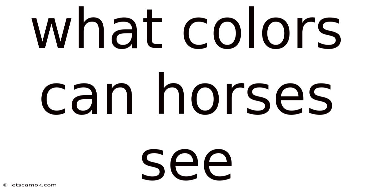 What Colors Can Horses See
