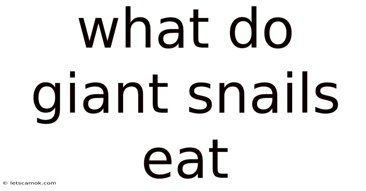 What Do Giant Snails Eat